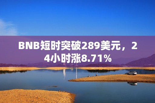 BNB短時突破289美元，24小時漲8.71%