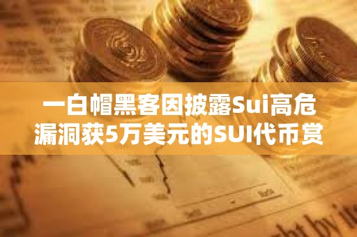 一白帽黑客因披露Sui高危漏洞獲5萬美元的SUI代幣賞金