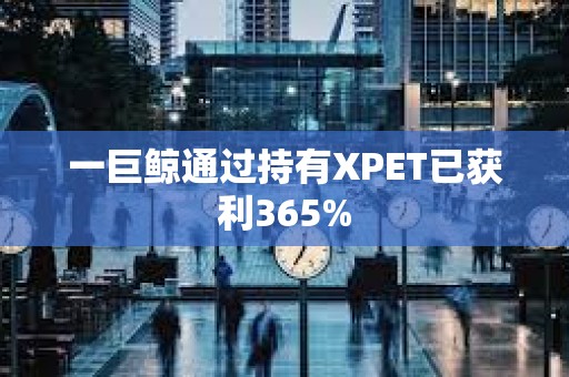 一巨鯨通過(guò)持有XPET已獲利365%