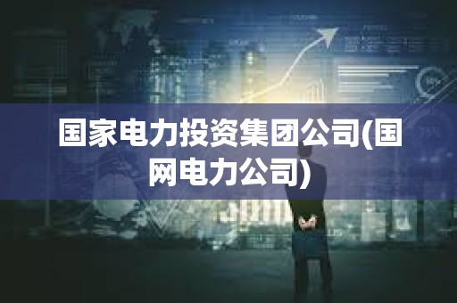 國家電力投資集團公司(國網電力公司)