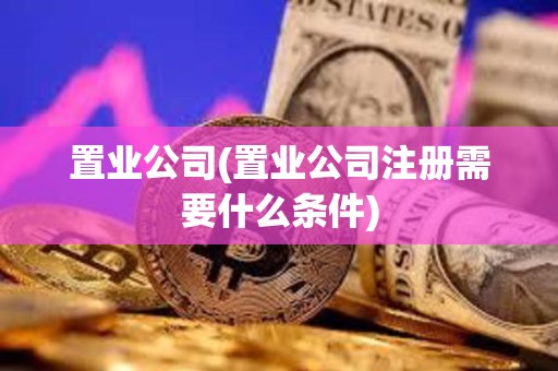 置業(yè)公司(置業(yè)公司注冊需要什么條件)