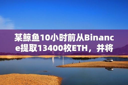 某鯨魚10小時前從Binance提取13400枚ETH，并將其存入Blast