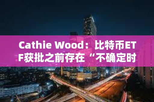 Cathie Wood：比特幣ETF獲批之前存在“不確定時刻”