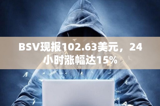 BSV現報102.63美元，24小時漲幅達15%