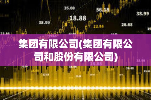 集團(tuán)有限公司(集團(tuán)有限公司和股份有限公司)