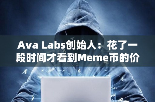 Ava Labs創始人：花了一段時間才看到Meme幣的價值