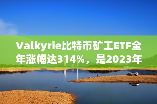 Valkyrie比特幣礦工ETF全年漲幅達314%，是2023年美國表現最好的非杠桿ETF