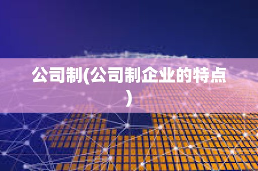 公司制(公司制企業(yè)的特點)