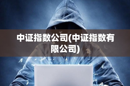 中證指數(shù)公司(中證指數(shù)有限公司)