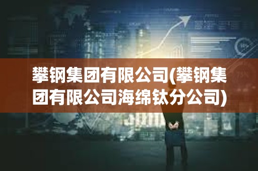攀鋼集團(tuán)有限公司(攀鋼集團(tuán)有限公司海綿鈦分公司)