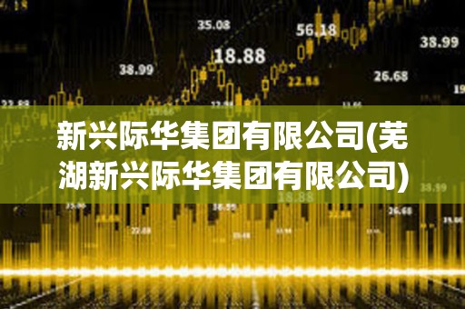 新興際華集團(tuán)有限公司(蕪湖新興際華集團(tuán)有限公司)