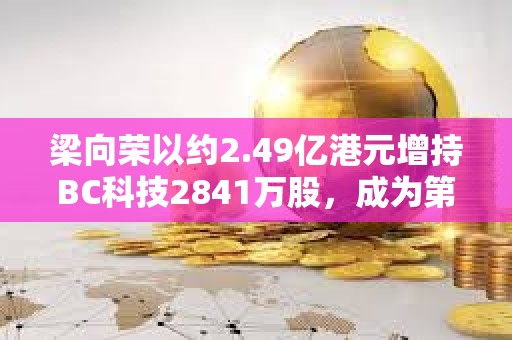 梁向榮以約2.49億港元增持BC科技2841萬股，成為第三大股東