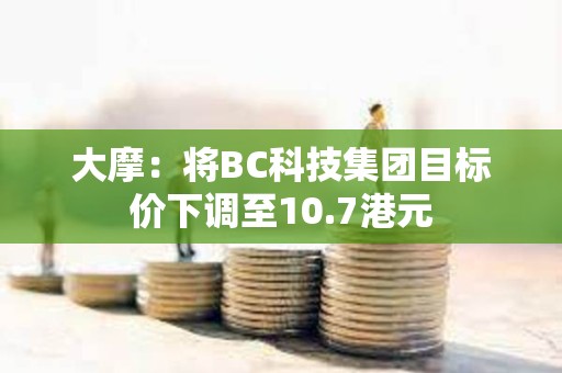 大摩：將BC科技集團目標價下調至10.7港元