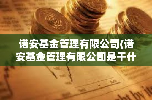 諾安基金管理有限公司(諾安基金管理有限公司是干什么的)
