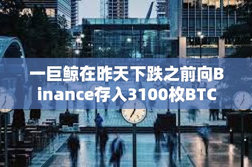 一巨鯨在昨天下跌之前向Binance存入3100枚BTC