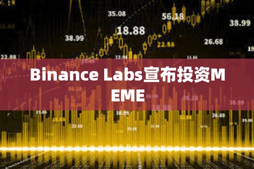 Binance Labs宣布投資MEME