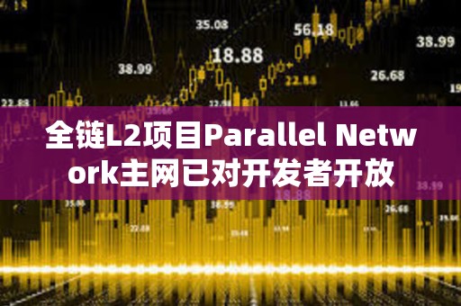全鏈L2項目Parallel Network主網已對開發者開放