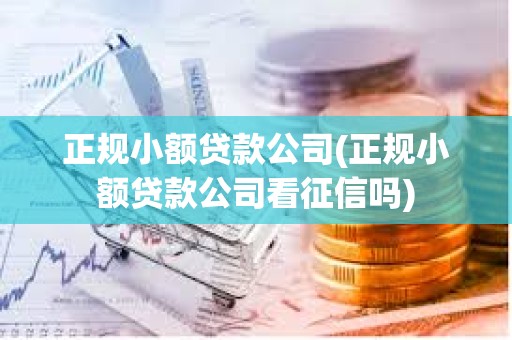 正規小額貸款公司(正規小額貸款公司看征信嗎)