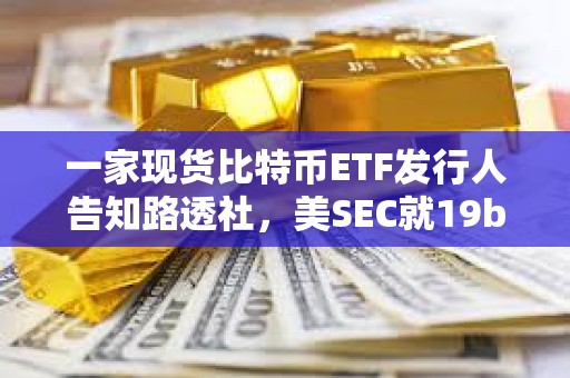 一家現(xiàn)貨比特幣ETF發(fā)行人告知路透社，美SEC就19b-4規(guī)則變更投票擬定于1月10日
