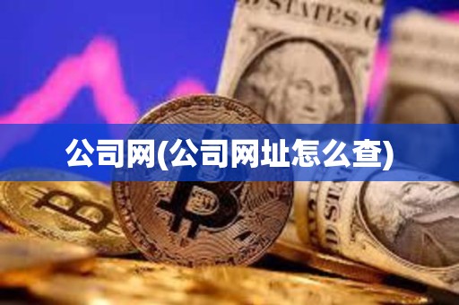 公司網(公司網址怎么查)