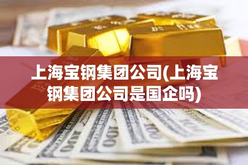 上海寶鋼集團公司(上海寶鋼集團公司是國企嗎)