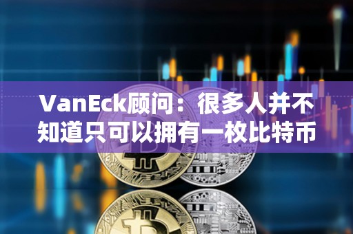 VanEck顧問：很多人并不知道只可以擁有一枚比特幣的一小部分