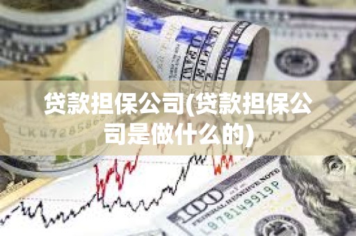 貸款擔(dān)保公司(貸款擔(dān)保公司是做什么的)
