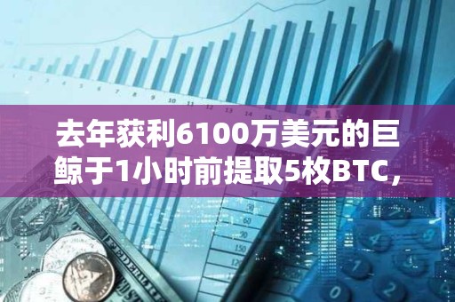 去年獲利6100萬美元的巨鯨于1小時(shí)前提取5枚BTC，或作為測試交易