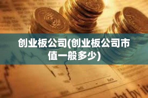 創(chuàng)業(yè)板公司(創(chuàng)業(yè)板公司市值一般多少)