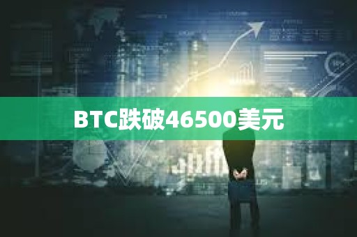 BTC跌破46500美元