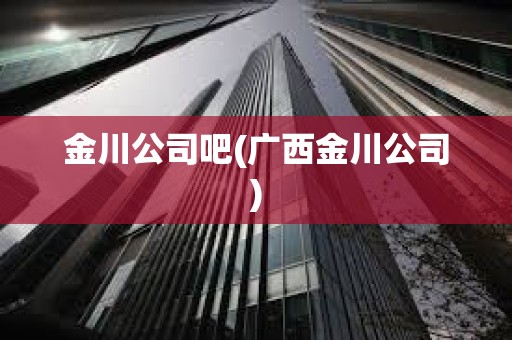 金川公司吧(廣西金川公司)