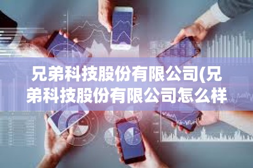 兄弟科技股份有限公司(兄弟科技股份有限公司怎么樣)@