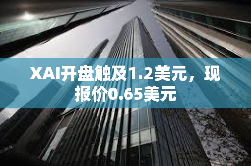 XAI開盤觸及1.2美元，現報價0.65美元