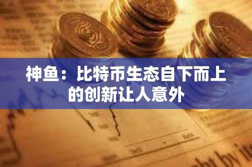 神魚：比特幣生態自下而上的創新讓人意外