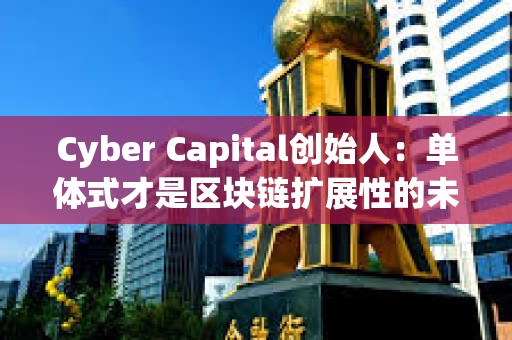 Cyber Capital創始人:單體式才是區塊鏈擴展性的未來 Cyber Capital創始人:單體式才是區塊鏈擴展性的未來