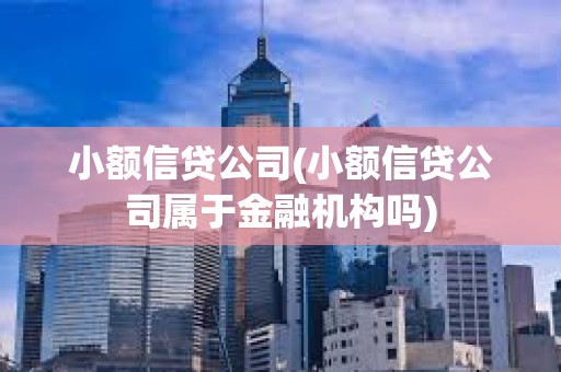 小額信貸公司(小額信貸公司屬于金融機構(gòu)嗎)