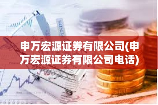 申萬宏源證券有限公司(申萬宏源證券有限公司電話)