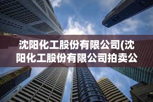 沈陽化工股份有限公司(沈陽化工股份有限公司拍賣公告)