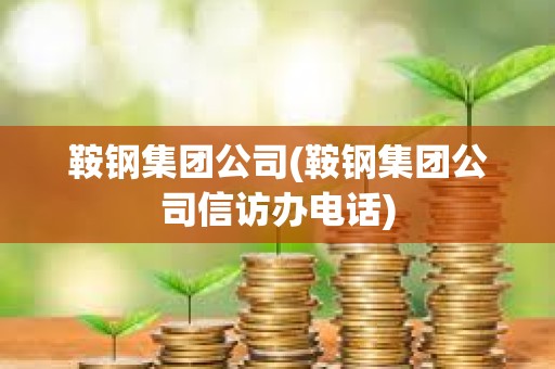 鞍鋼集團(tuán)公司(鞍鋼集團(tuán)公司信訪(fǎng)辦電話(huà))