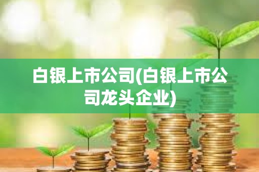 白銀上市公司(白銀上市公司龍頭企業) 白銀上市公司(白銀上市公司龍頭企業)
