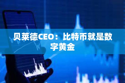 貝萊德CEO:比特幣就是數字黃金 貝萊德CEO:比特幣就是數字黃金