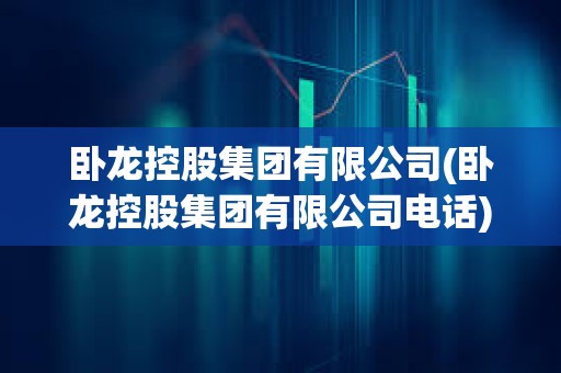 臥龍控股集團有限公司(臥龍控股集團有限公司電話)