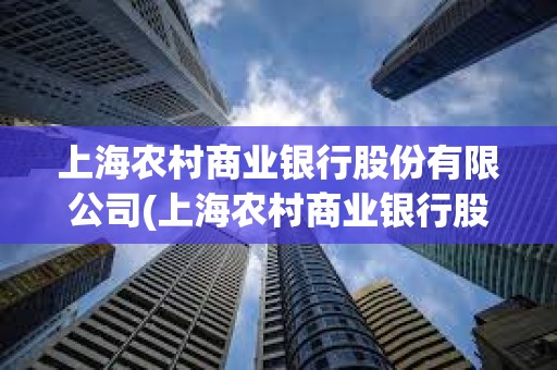 上海農村商業銀行股份有限公司(上海農村商業銀行股份有限公司貸款)