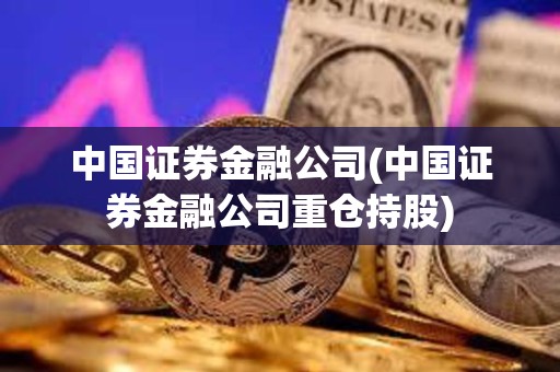 中國證券金融公司(中國證券金融公司重倉持股)