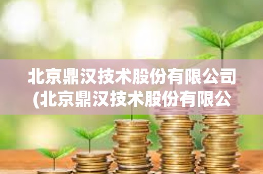 北京鼎漢技術股份有限公司(北京鼎漢技術股份有限公司財務報表分析)