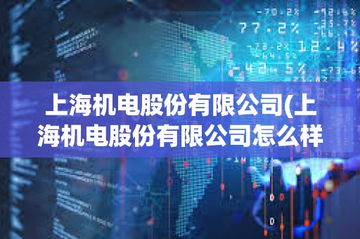 上海機電股份有限公司(上海機電股份有限公司怎么樣)