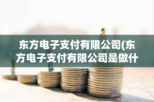 東方電子支付有限公司(東方電子支付有限公司是做什么的)