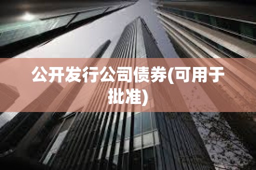 公開發行公司債券(可用于批準)
