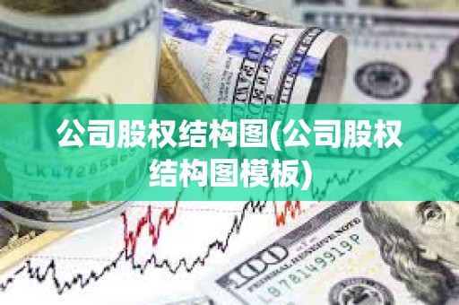 公司股權結構圖(公司股權結構圖模板)