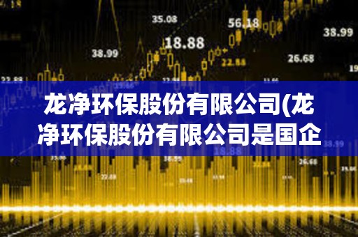 龍凈環保股份有限公司(龍凈環保股份有限公司是國企嗎)